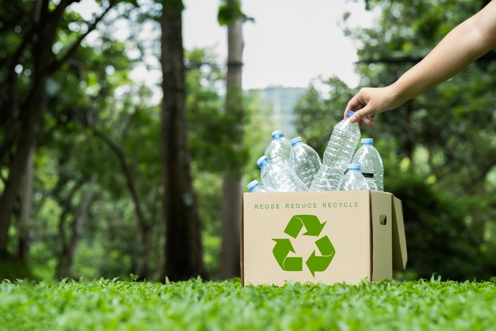 Hand holding plastic bottle put in a box to recycling